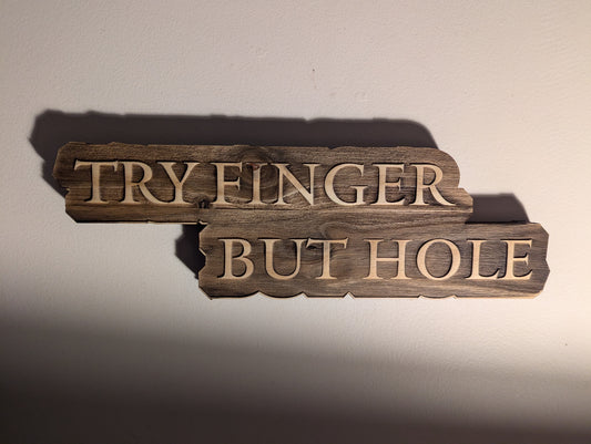 TRY FINGER BUT HOLE